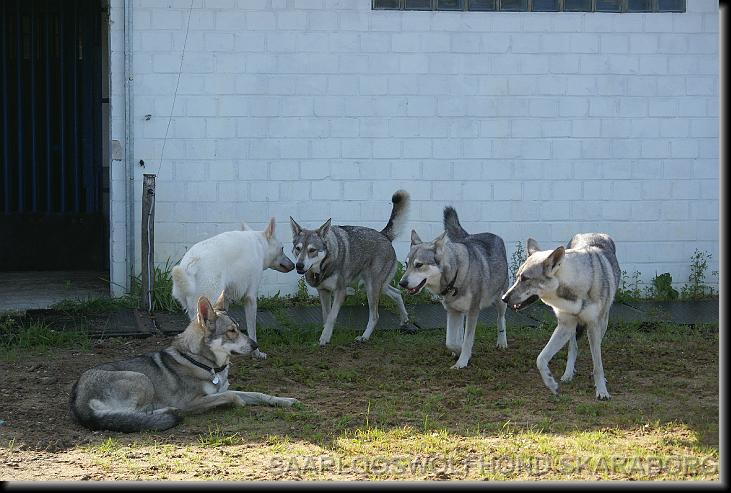 You have reached the last slide